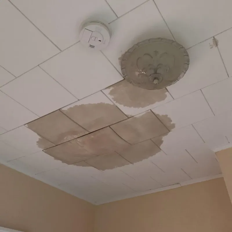 Ceiling Water Damage Repair in Addison, TX