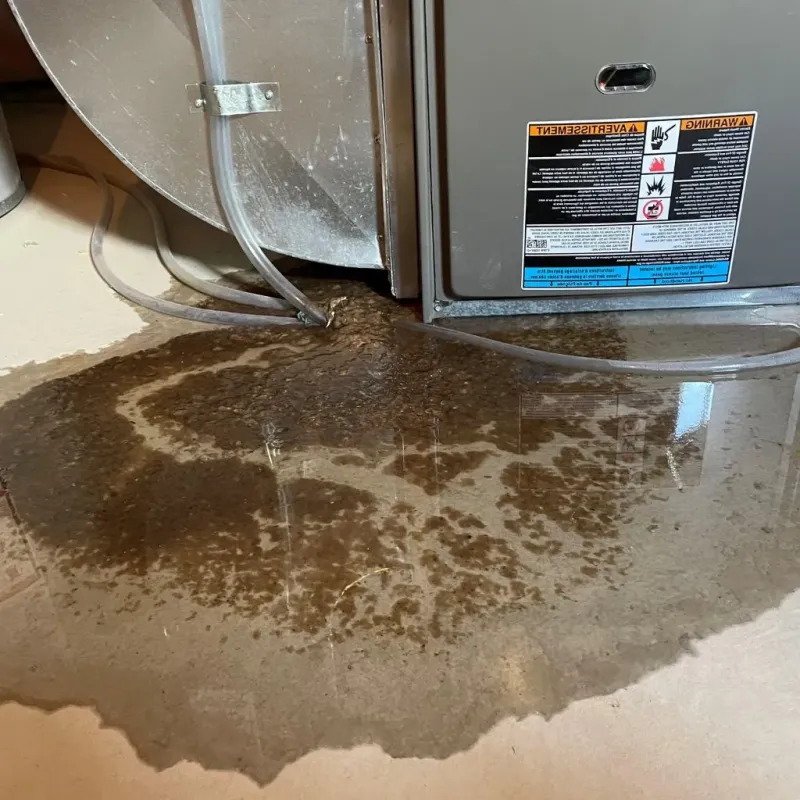 Pipe Burst and Leak Restoration in Addison, TX